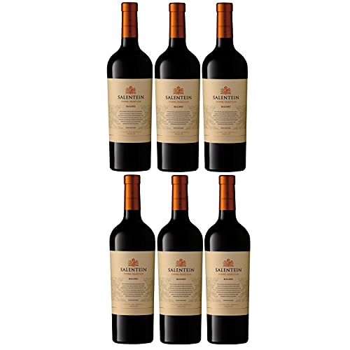 Bodegas Salentein Barrel Selection Merlot Rotwein Wein trocken Argentinien (6 Flaschen) von Bodegas Salentein