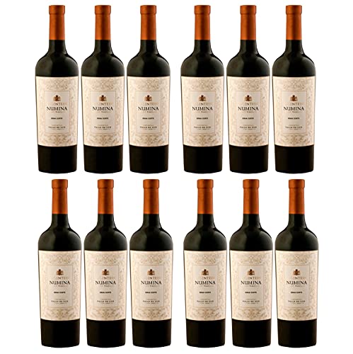 Bodegas Salentein Numina Gran Corte Rotwein Wein trocken Argentinien (12 Flaschen) von Bodegas Salentein