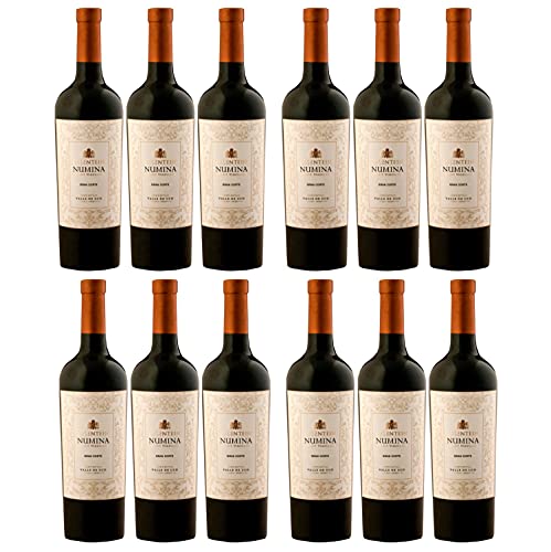 Bodegas Salentein Numina Gran Corte Rotwein Wein trocken Argentinien (12 Flaschen) von Salentein