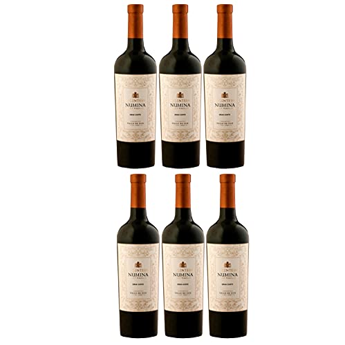 Bodegas Salentein Numina Gran Corte Rotwein Wein trocken Argentinien (6 Flaschen) von Bodegas Salentein