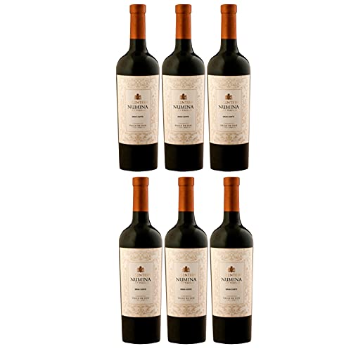 Bodegas Salentein Numina Gran Corte Rotwein Wein trocken Argentinien (6 Flaschen) von Salentein
