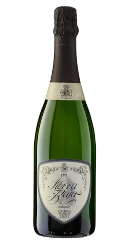 Sierra Baja Cava Brut Nature | Cava | Cava – Spanien | 1 x 0,75 Liter von Bodegas San Valero