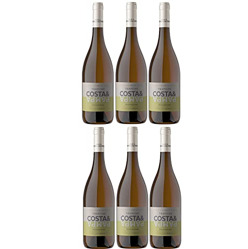 Bodegas Trapiche Costa & Pampa Sauvignon Blanc Weißwein Wein trocken Argentinien (6 Flaschen) von Bodegas Trapiche
