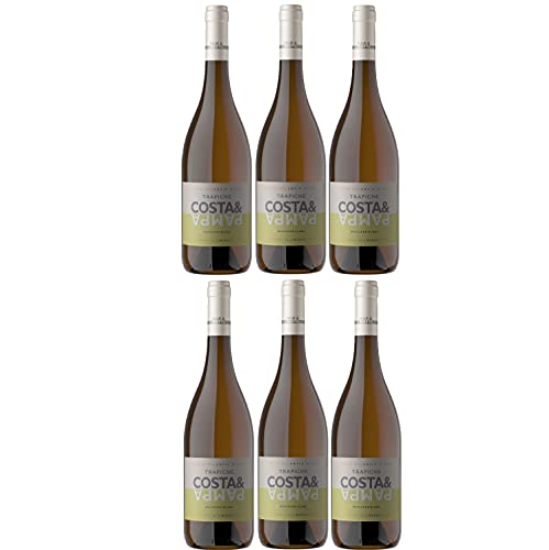 Bodegas Trapiche Costa & Pampa Sauvignon Blanc Weißwein Wein trocken Argentinien (6 Flaschen) von Bodegas Trapiche