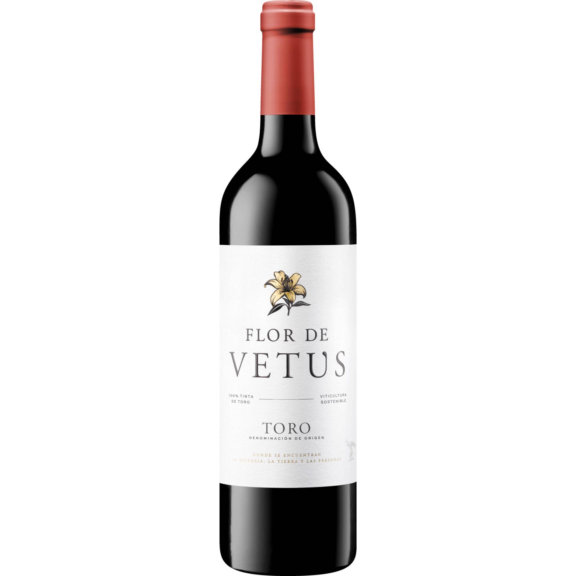 Flor de Vetus, Toro DO, Kastilien - León, 2020, Rotwein Flor de Vetus, Toro DO, Kastilien - León, 2020, Rotwein von Bodegas Vetus S.L., R.E. 8406-ZA-00 Toro - Espana