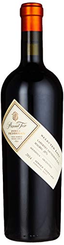 Bodegas y Vinedos Pascual Toso Finca Pedregal Malbec Wein trocken (1 x 0.75 l) von Bodegas y Vinedos Pascual Toso