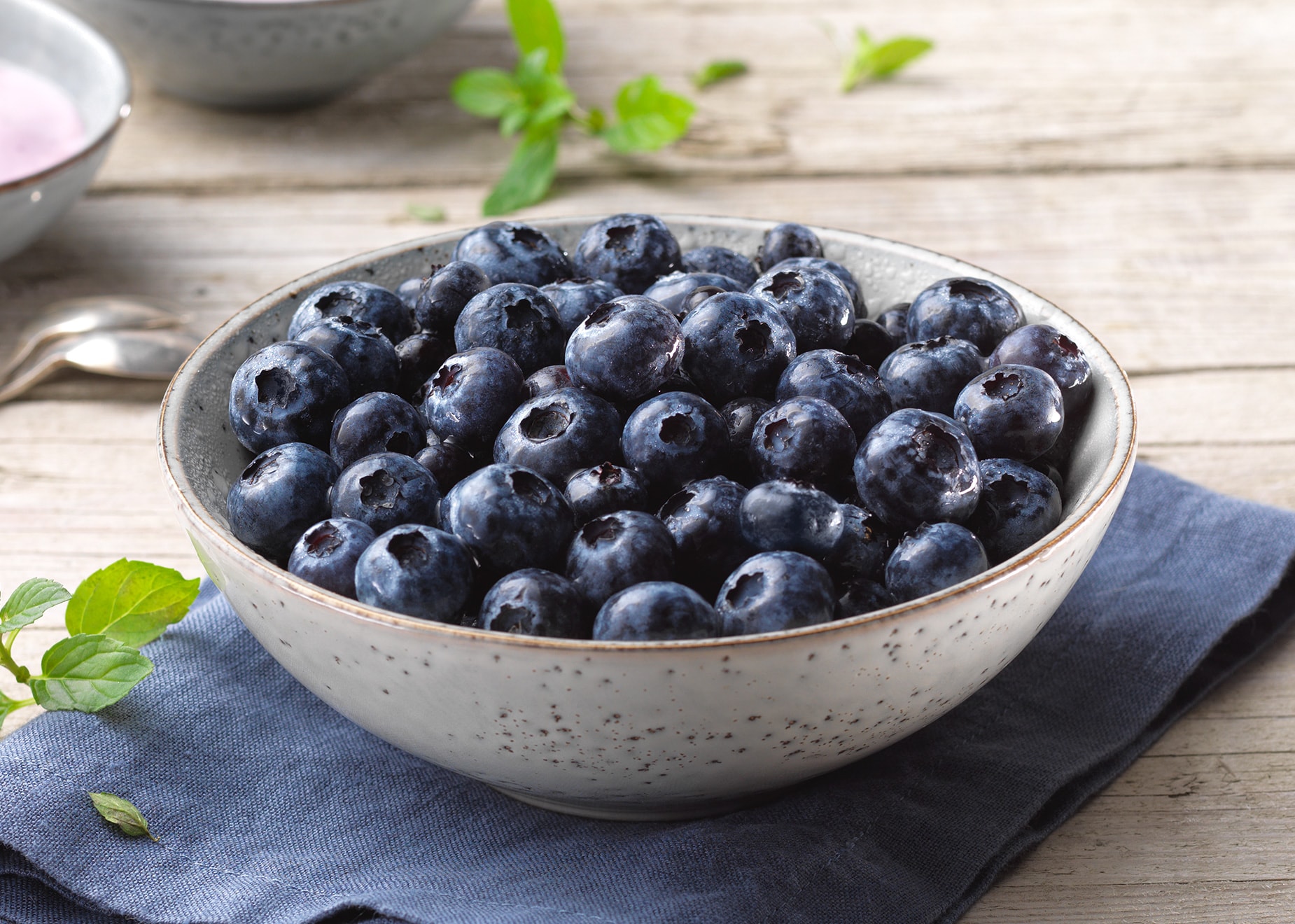 Kulturheidelbeeren Kulturheidelbeeren von Bofrost
