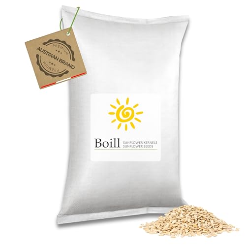 Boill Sonnenblumenkerne geschält, Premiumware - 10 kg. Lebensmittel zertifiziert zum brot backen von Boill