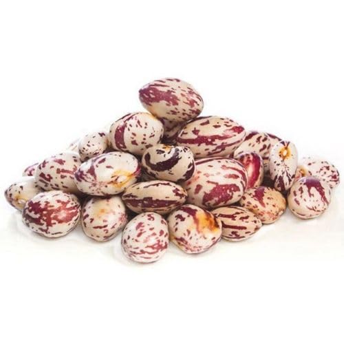Bohnen Borlotti Italiani 25 kg Bio von Bongiovanni (Farine e bontà naturali)