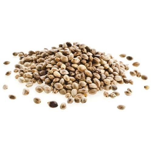 Bio-Hanfsamen 20 kg Bio-Hanfsamen 20 kg von Bongiovanni Bontà Naturali