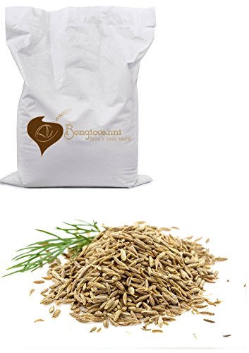 Fenchelsamen 1 kg Bio Fenchelsamen 1 kg Bio von Bongiovanni Bontà Naturali