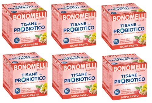 6x Bonomelli Tisane con Probiotico Dopo Pasto Kräutertees mit Probiotika mit Minz-, Eisenkraut- und Ingwerextrakt ideal nach den Mahlzeiten Packung mit 10 Filtern von Bonomelli