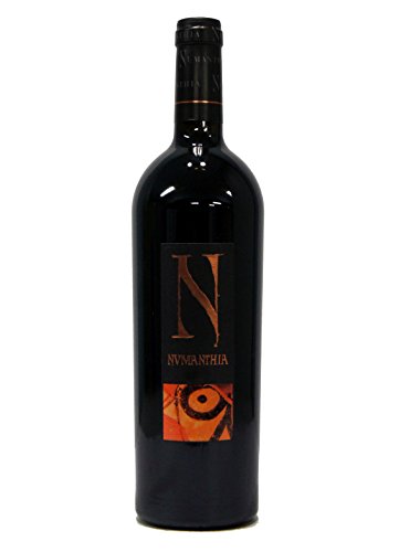 Izadi, Rioja Reserva, ROTWEIN (case of 6x75cl) Spanien/Rioja von Boroli