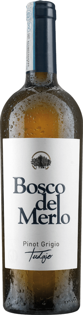 Bosco del Merlo Pinot Grigio delle Venezie Tudajo DOC 2022 von Bosco del Merlo