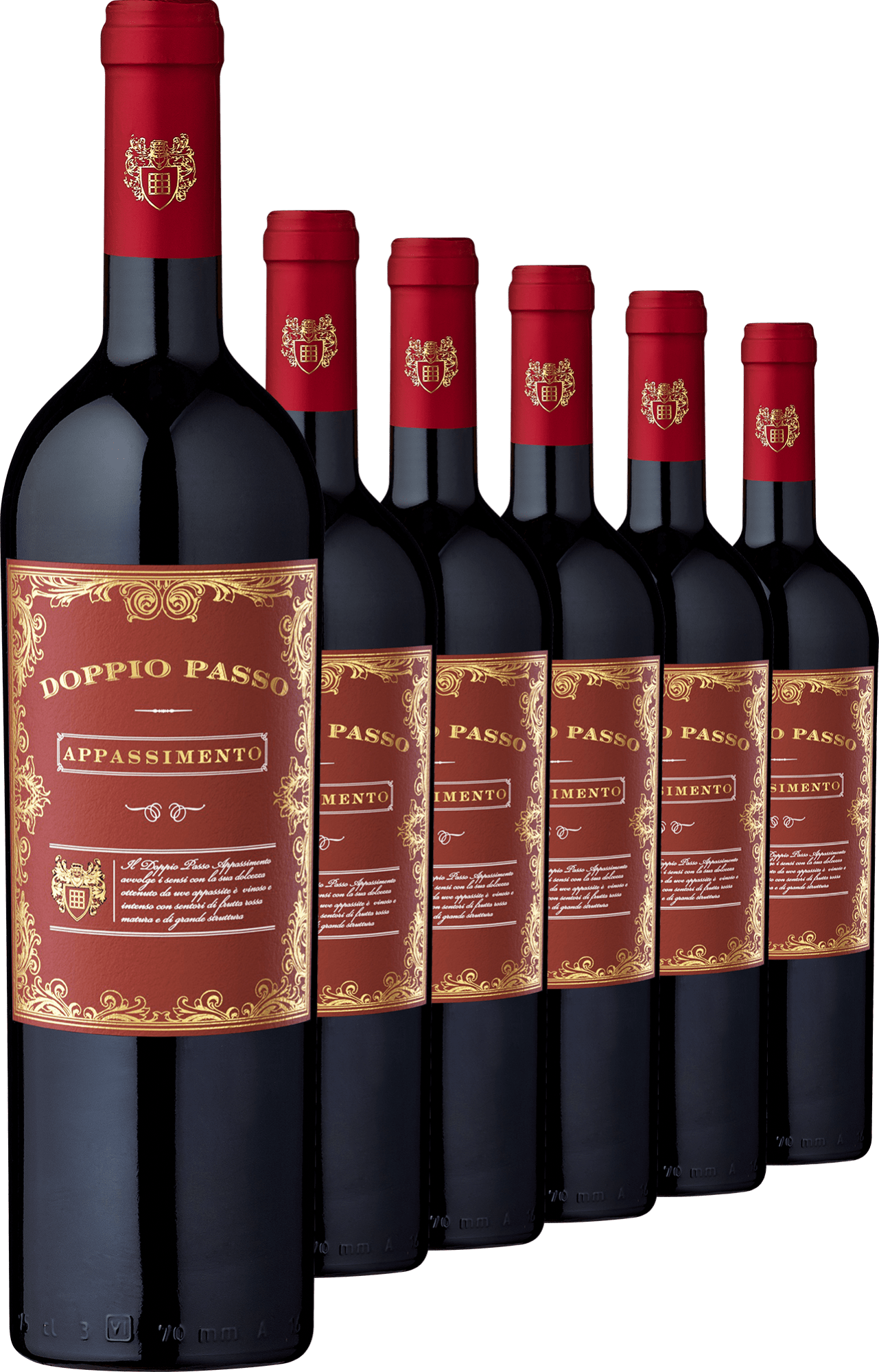 2021 Doppio Passo Appassimento Primitivo im 6er-Vorratspaket 2021 Doppio Passo Appassimento Primitivo im 6er-Vorratspaket