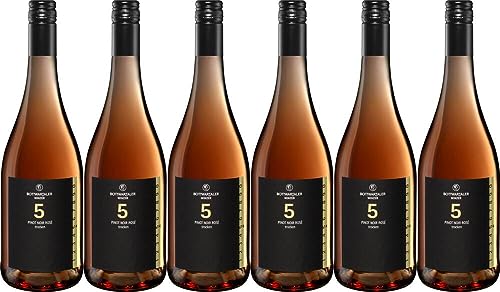 6x 5 Pinot Noir Rosé trocken 2021 - Bottwartaler Winzer eG, Württemberg - Rosé von Bottwartaler Winzer eG