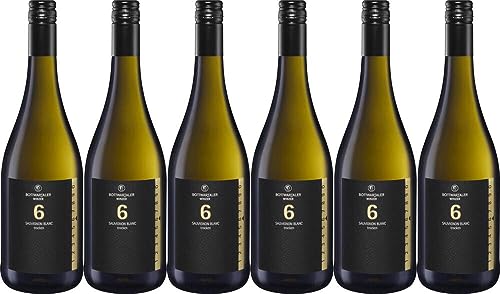6x 6 Sauvignon Blanc trocken 2022 - Bottwartaler Winzer eG, Württemberg - Weißwein von Bottwartaler Winzer eG