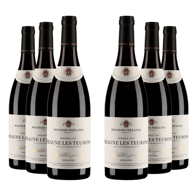 Bouchard Père & Fils : Beaune 1er cru "Teurons" Domaine 2021 Bouchard Père & Fils : Beaune 1er cru "Teurons" Domaine 2021 von Bouchard Père & Fils