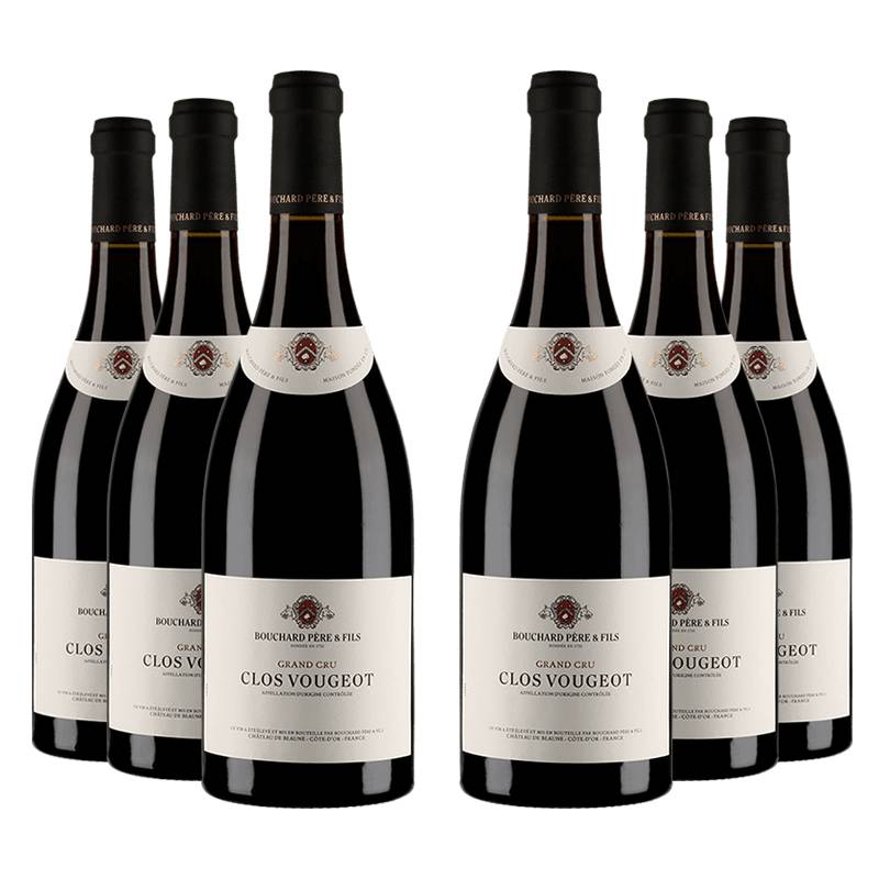 Bouchard Père & Fils : Clos Vougeot Grand cru 2016 von Bouchard Père & Fils