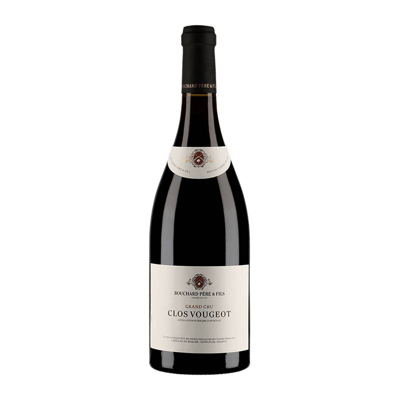 Bouchard Père & Fils : Clos Vougeot Grand cru 2016 von Bouchard Père & Fils