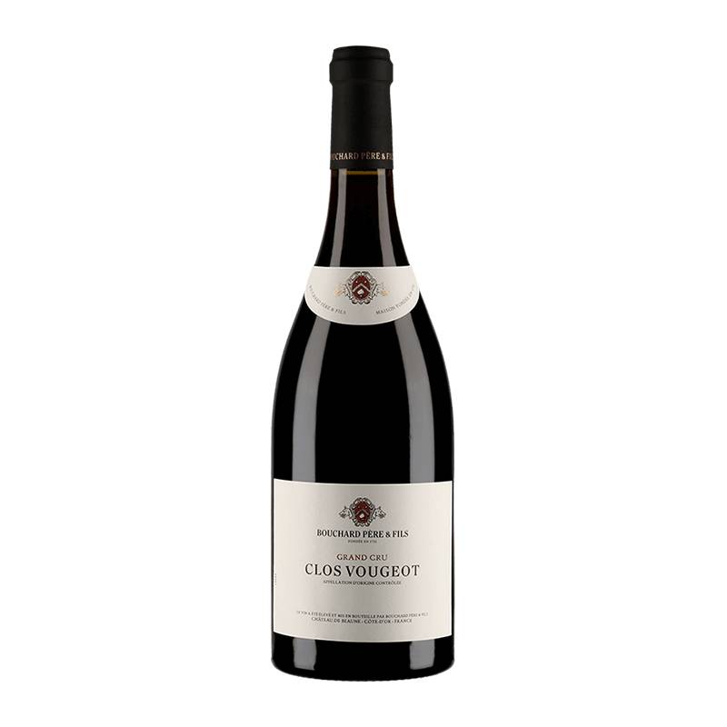 Bouchard Père & Fils : Clos Vougeot Grand cru 2017 von Bouchard Père & Fils