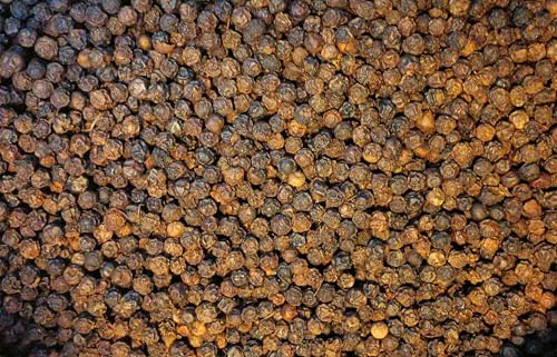 Braun Gewürze - Tellicherry Pfeffer ganz 400g, edler schwarzer Pfeffer aus Indien Braun Gewürze - Tellicherry Pfeffer ganz 400g, edler schwarzer Pfeffer aus Indien von Braun Gewürze