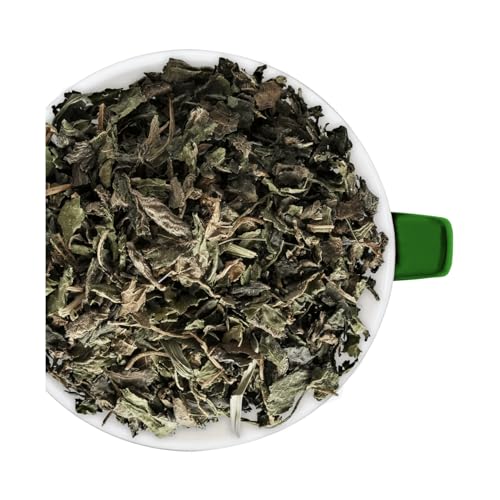 Bremer Gewürzhandel Brennesseltee, lose, leckerer Tee für entspannte Momente, 100g Bremer Gewürzhandel Brennesseltee, lose, leckerer Tee für entspannte Momente, 100g von Bremer-Gewürzhandel Genuss leben.
