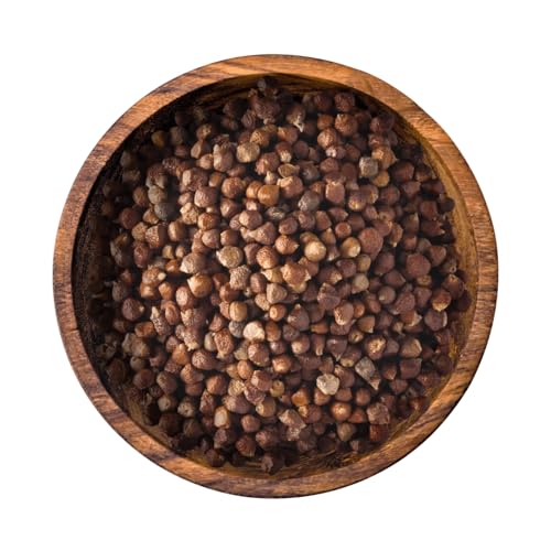 Bremer Gewürzhandel Paradieskörner, ganz, aromatischer Guinea-Pfeffer mit feiner Schärfe zum Kochen und Backen, 10 x 50g Bremer Gewürzhandel Paradieskörner, ganz, aromatischer Guinea-Pfeffer mit feiner Schärfe zum Kochen und Backen, 10 x 50g von Bremer-Gewürzhandel Genuss leben.