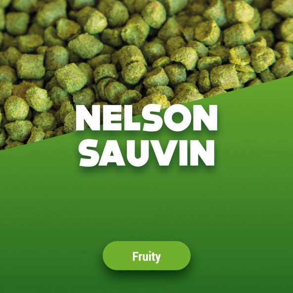 Hopfenpellets Nelson Sauvin 100 g von Brewferm