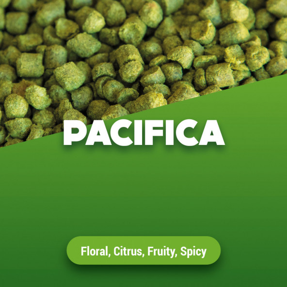 Hopfenpellets Pacifica - 1 kg von Brewferm