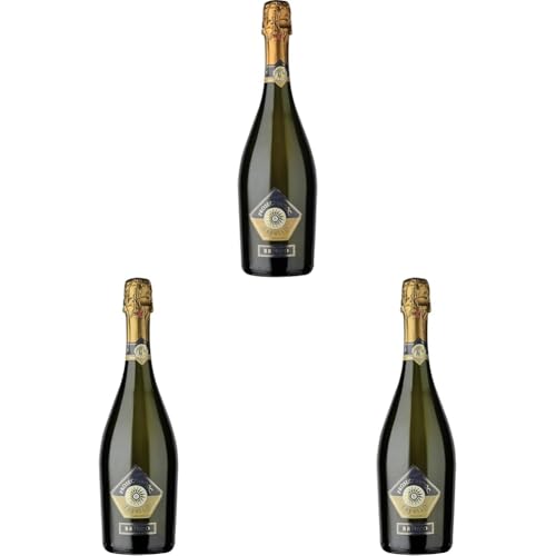 Brioso Prosecco D.O.C. Treviso Spumante – Prosecco extra trocken aus Treviso Italien (1 x 0.75 l) (Packung mit 3) von Brioso