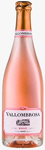 Villa Vallombrosa Vallombrosa Rosé Wein trocken (1 x 0.75 l) von Villa Vallombrosa