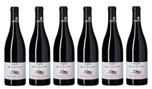 6x 0,75l - 2020er - Baden by Brogsitter - Eichstetter Vulkanfelsen - Spätburgunder vom Löss - Qualitätswein Baden - Deutschland - Rotwein trocken von Brogsitter