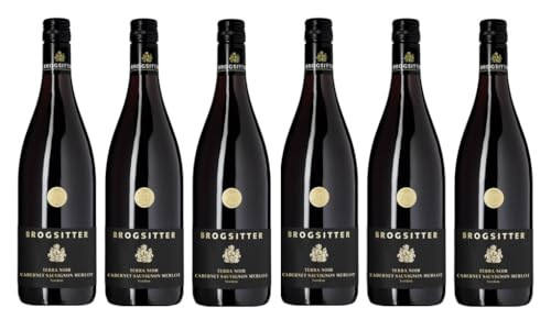 6x 0,75l - 2020er - Brogsitter - Terra Noir - Cabernet Sauvignon & Merlot - Qualitätswein Rheinhessen - Deutschland - Rotwein trocken von Brogsitter