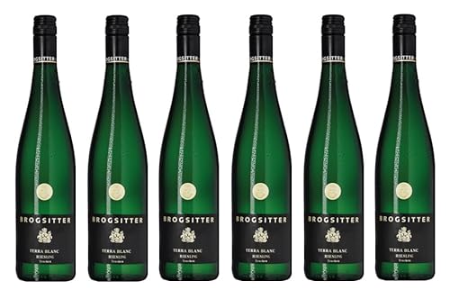 6x 0,75l - 2021er - Brogsitter - Terra Blanc - Riesling - Qualitätswein Rheinhessen - Deutschland - Weißwein trocken von Brogsitter