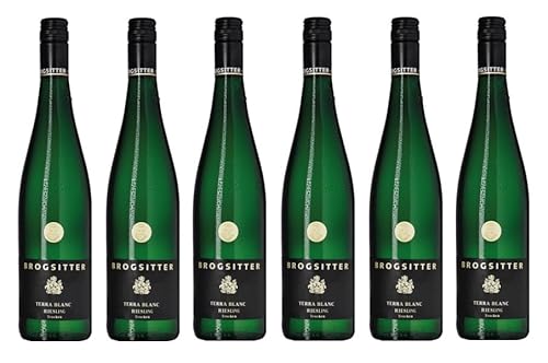 6x 0,75l - 2021er - Brogsitter - Terra Blanc - Riesling - Qualitätswein Rheinhessen - Deutschland - Weißwein trocken von Brogsitter