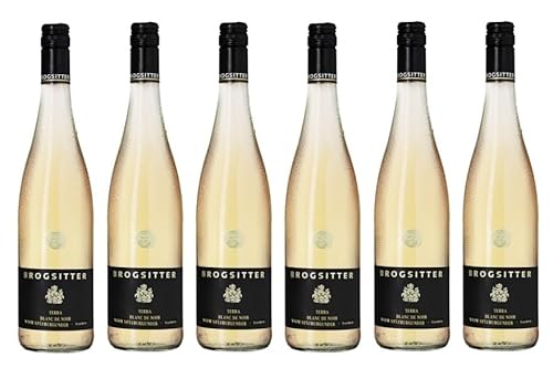 6x 0,75l - 2023er - Brogsitter - Terra Blanc - Blanc de Noir vom Spätburgunder - Qualitätswein Rheinhessen - Deutschland - Weißwein trocken von Brogsitter