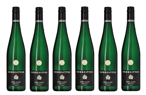 6x 0,75l - 2022er - Brogsitter - Terra Blanc - Riesling feinherb - Qualitätswein Rheinhessen - Deutschland - Weißwein halbtrocken von Brogsitter