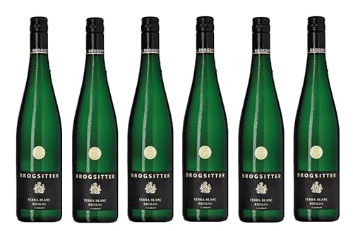6x 0,75l - 2022er - Brogsitter - Terra Blanc - Riesling feinherb - Qualitätswein Rheinhessen - Deutschland - Weißwein halbtrocken von Brogsitter