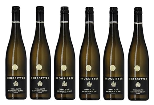 6x 0,75l - 2022er - Brogsitter - Terra Blanc - Sauvignon Blanc - Qualitätswein Rheinhessen - Deutschland - Weißwein halbtrocken von Brogsitter