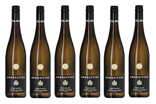 6x 0,75l - 2022er - Brogsitter - Terra Blanc - Weißburgunder - Qualitätswein Rheinhessen - Deutschland - Weißwein trocken von Brogsitter