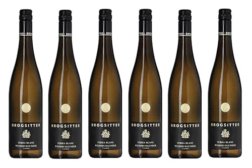 6x 0,75l - 2022er - Brogsitter - Terra Blanc - Weißburgunder - Qualitätswein Rheinhessen - Deutschland - Weißwein trocken von Brogsitter