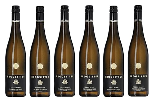 6x 0,75l - 2023er - Brogsitter - Terra Blanc - Weißburgunder - Qualitätswein Rheinhessen - Deutschland - Weißwein trocken von Brogsitter