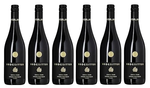 6x 0,75l - 2023er - Brogsitter - Terra Noir - Spätburgunder - Qualitätswein Rheinhessen - Deutschland - Rotwein trocken von Brogsitter