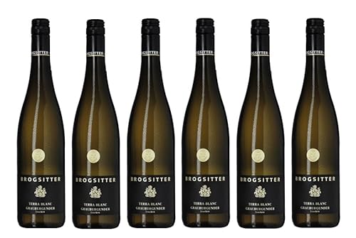 6x 0,75l - Brogsitter - Terra Blanc - Grauburgunder - Qualitätswein Rheinhessen - Deutschland - Weißwein trocken von Brogsitter