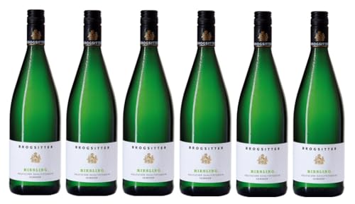 6x 1,0l - 2021er - Brogsitter - Riesling - feinherb - LITER - Qualitätswein Rheinhessen - Deutschland - Weißwein halbtrocken von Brogsitter