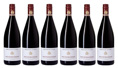 6x 1,0l - Brogsitter - Spätburgunder - halbtrocken - LITER - Qualitätswein Rheinhessen - Deutschland - Rotwein halbtrocken von Brogsitter