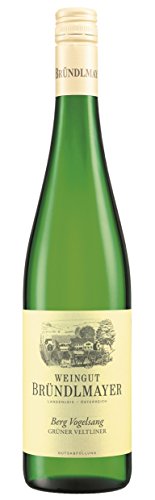 6x 0,75l - 2019er - Bründlmayer - Berg Vogelsang - Grüner Veltliner - Kamptal - Österreich - Weißwein trocken von Bründlmayer