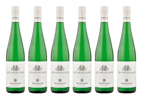 6x 0,75l - 2023er - Bründlmayer - Grüner Veltliner - Kamptal - Österreich - Weißwein trocken von Bründlmayer