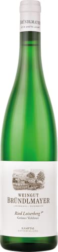 Bründlmayer Grüner Veltliner Loiserberg Kamptal DAC 1ÖTW 2021 (1 x 0.75 l) von Bründlmayer